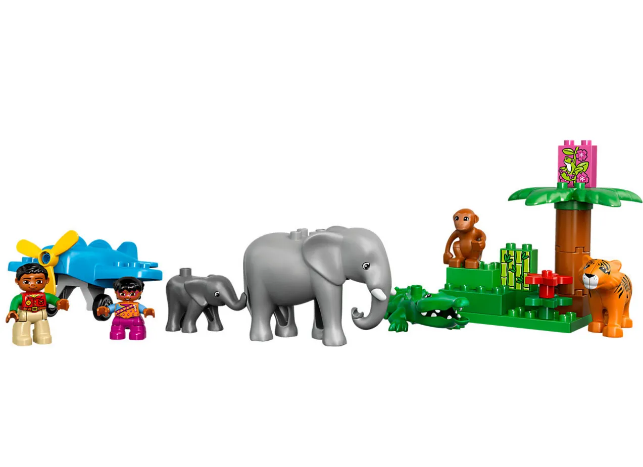 Jungle