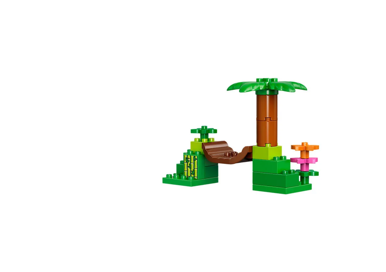 Jungle